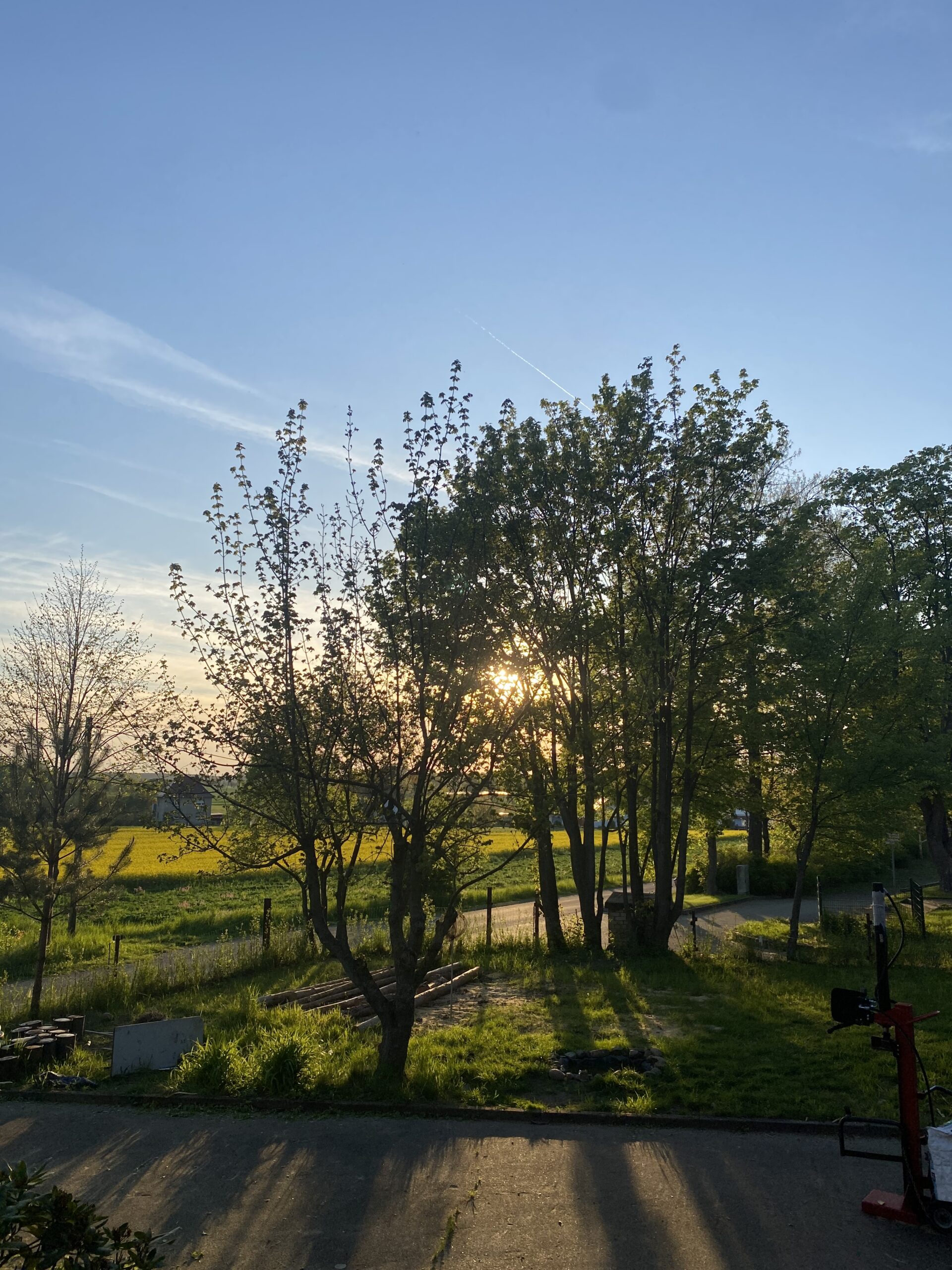 image_67167489