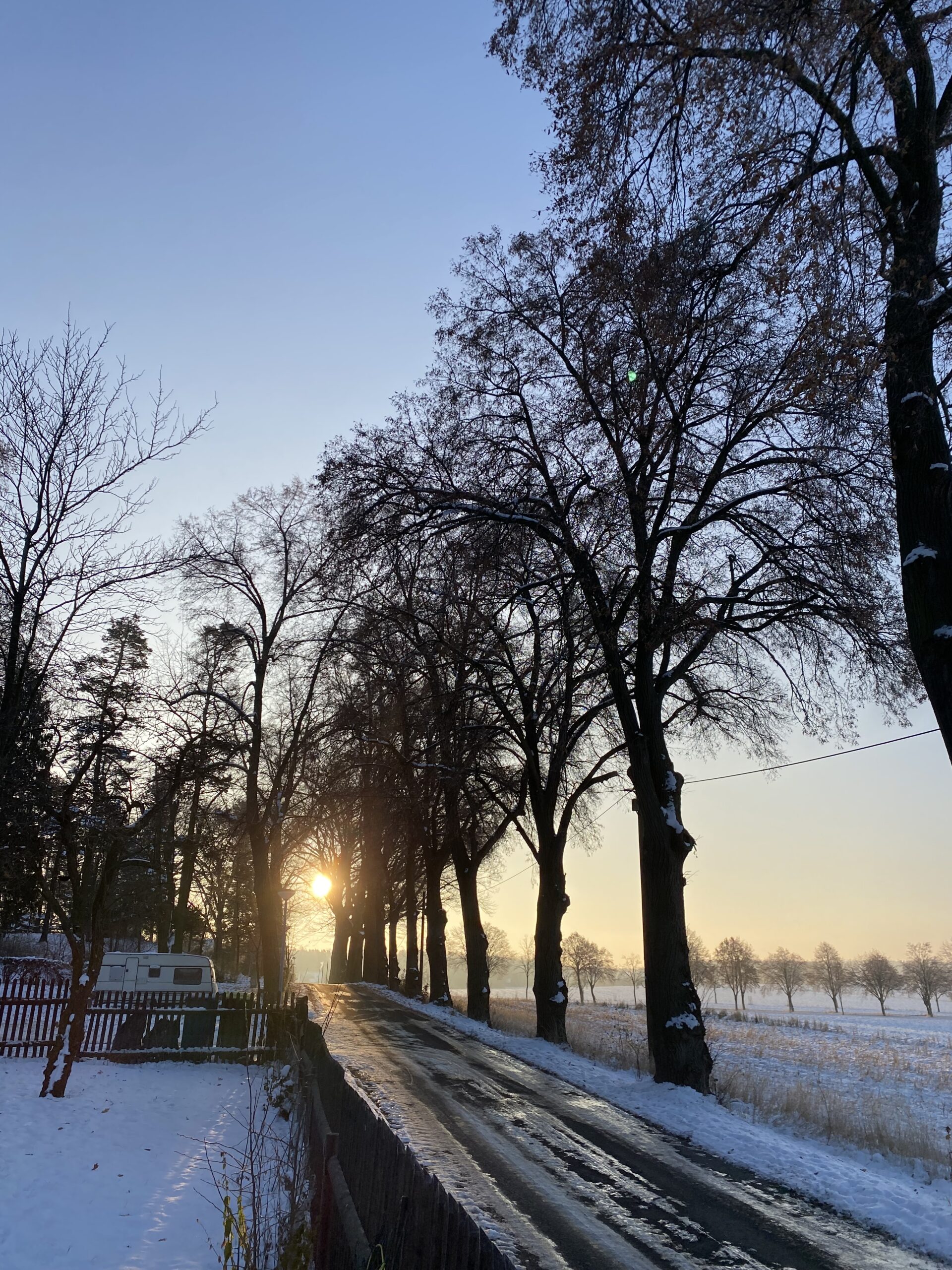 image_67502849
