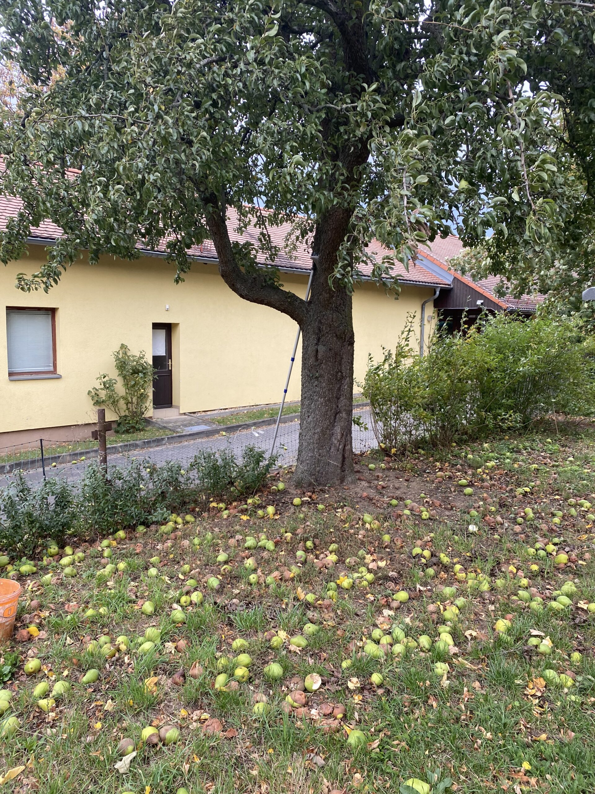 image_67504641